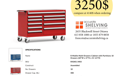 R Mobile Multi-Drawers Cabinet with Partitions